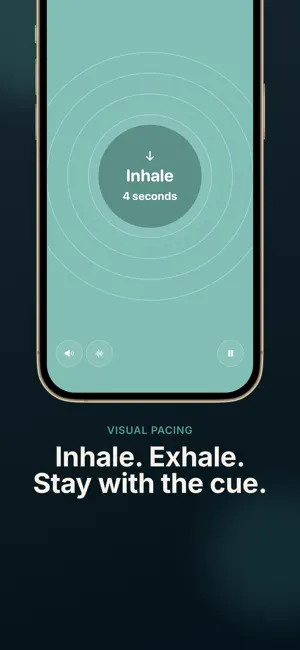 Prana: Breathing Exercises screenshot 2