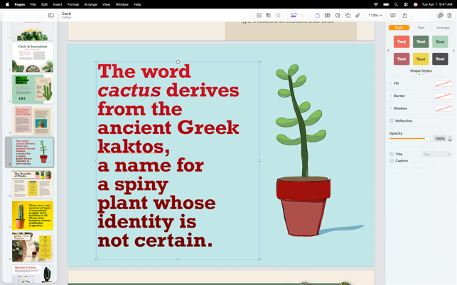 Pages: Erstelle Dokumente Screenshot
