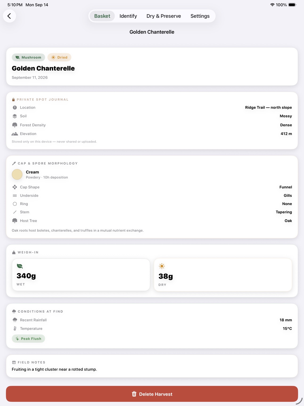Screenshot 12 of BasketyCaskety