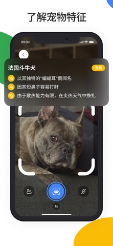 Lens Scan：拍照识别万物 screenshot