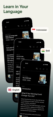 Nosis screenshot