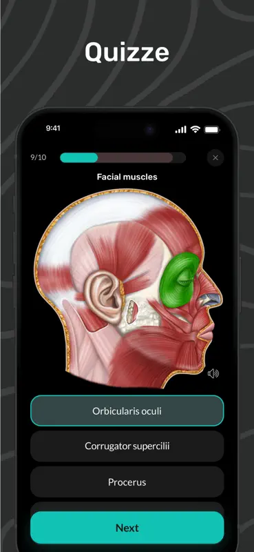 Easy Anatomy 3D mit Sprach-KI screenshot 6 of 9
