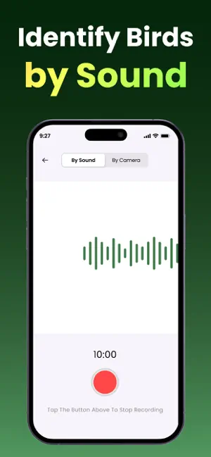 Bird Identifier: Call & Sound screenshot 4
