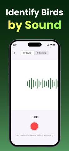 Bird Identifier - Bird Sounds Screenshot 4 of 6