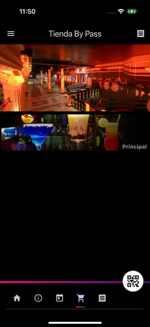 Efesur pasajeros iPhone screenshot 4