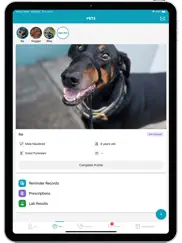 petdesk ipad images 1