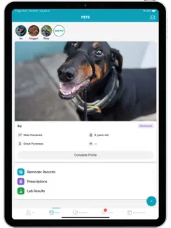 PetDesk iPad image 1