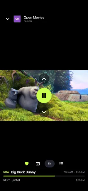 The IPTV: M3U & Xtream Player screenshot 1