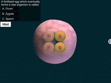 Fertilisation - EduTech Era iPad screenshot