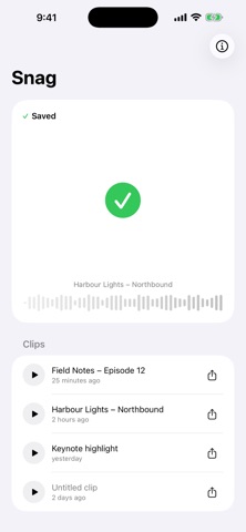 Snag - Quick Audio Capture screenshot 2