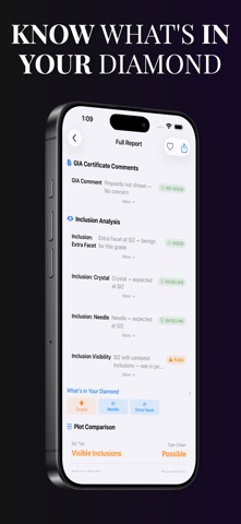 Diamond Check Ai Screenshot 9 of 9