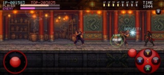 Kung Fu - Temple of Red Dragon screenshot 4