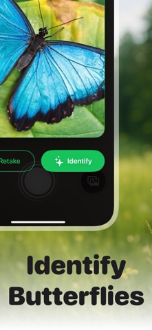 Picture Insect: Bug ID Screenshot 6 of 10