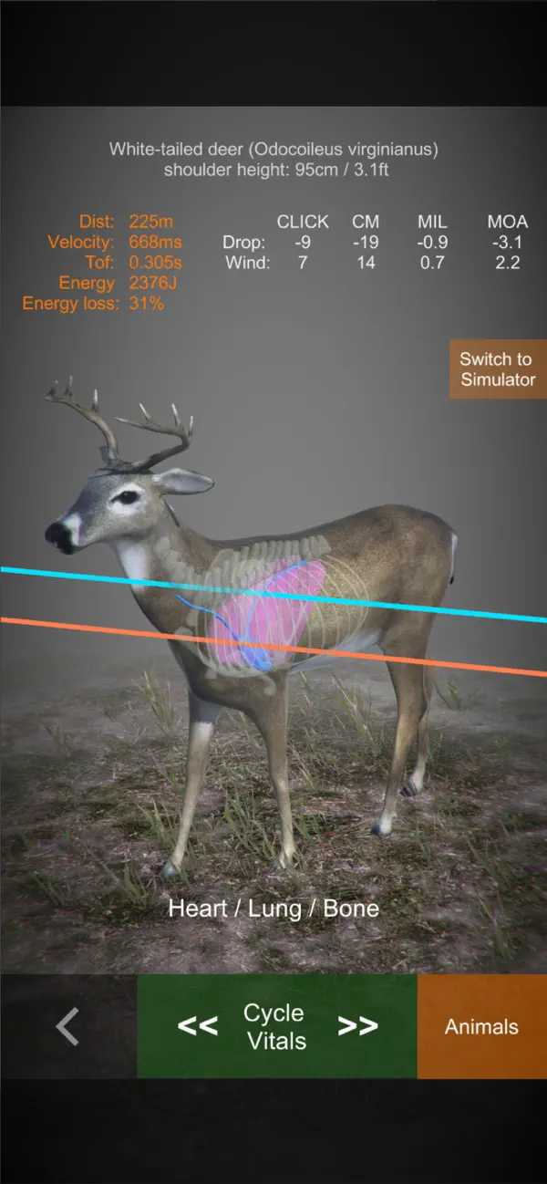 Screenshot #3 pour Rifle Hunt Simulator