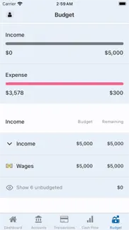 How to cancel & delete capstone: financial tracker 1