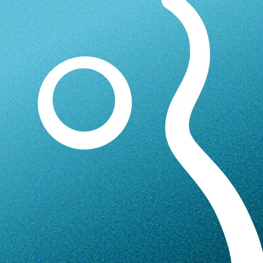 Guitar Wiz: Akorlar Ve Akort iPhone Ekran Görüntüsü 6