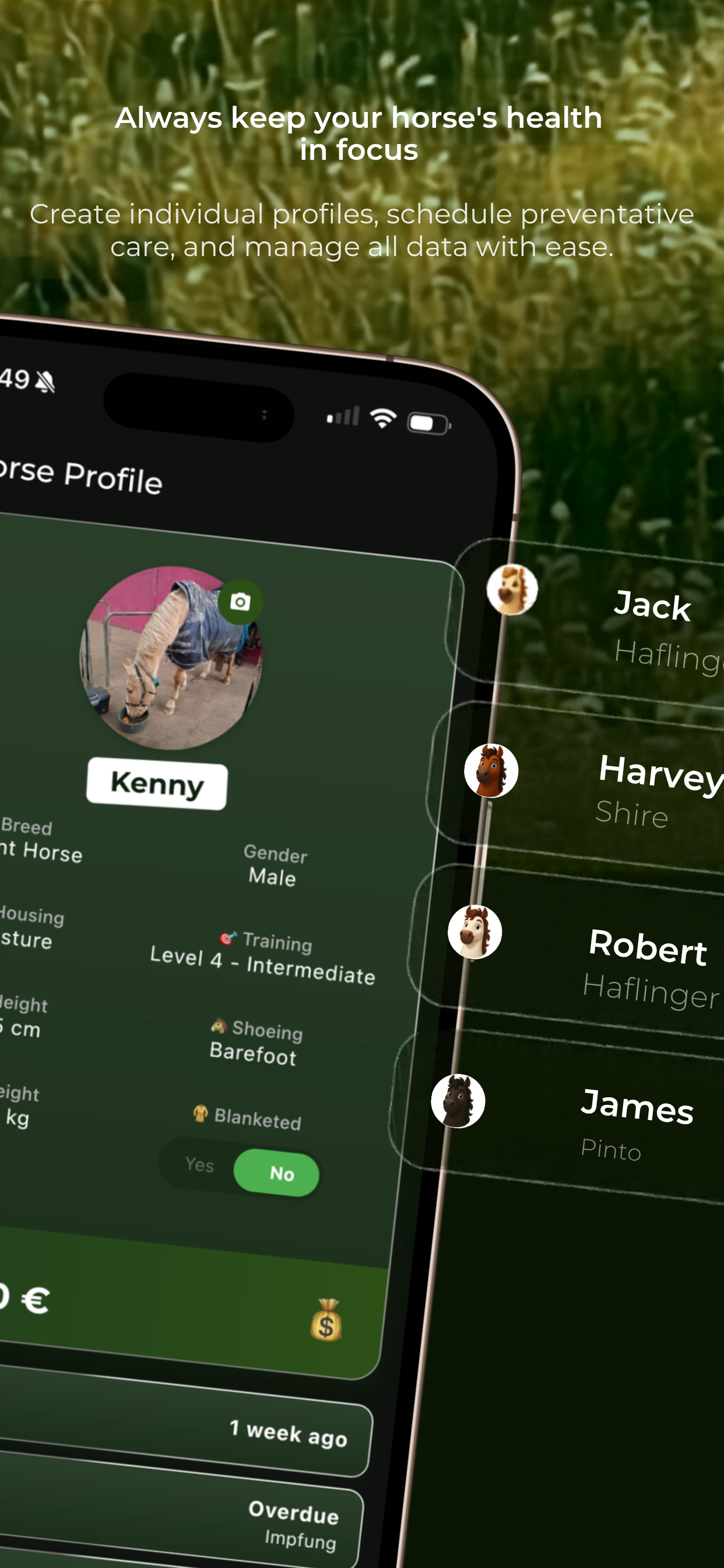 ManeMap: AI Horse Care