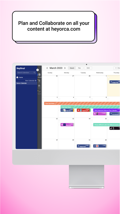 HeyOrca Screenshot