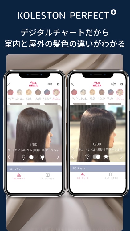 コレストンパーフェクト プラス デジタルカラーチャート