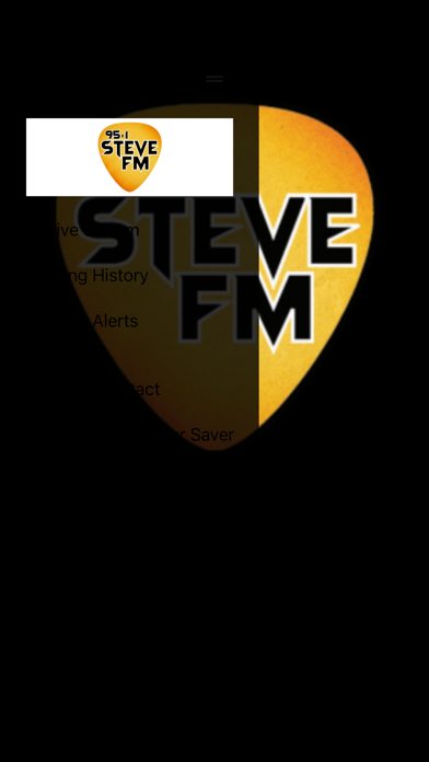 Screenshot #2 pour Steve FM