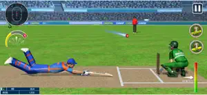 World Champion 3D Cricket Game screenshot 3