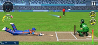 World Champion 3D Cricket Game iPhone screenshot