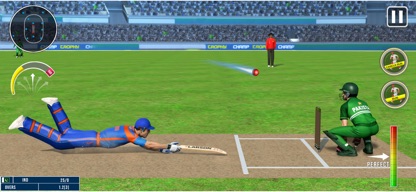 World Champion 3D Cricket Game screenshot 3