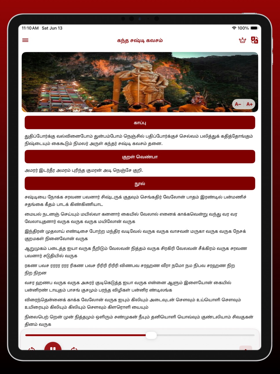 iPad screenshot