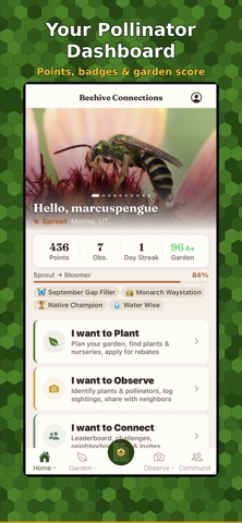 Beehive Connections iPhone screenshot