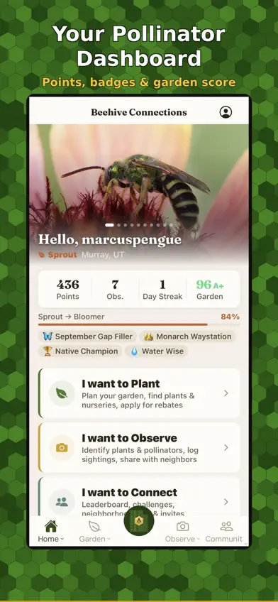 Beehive Connections screenshot 1