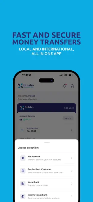 Bulsho Development Bank screenshot 4