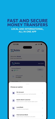 Bulsho Development Bank Screenshot 4 of 5