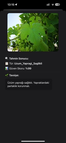 LeafAI screenshot