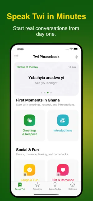 Nkyea Twi Phrasebook screenshot 1