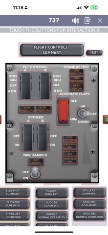 737 Virtual Panel screenshot