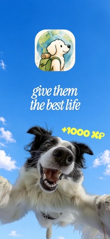 Doggo: Dog Travel screenshot