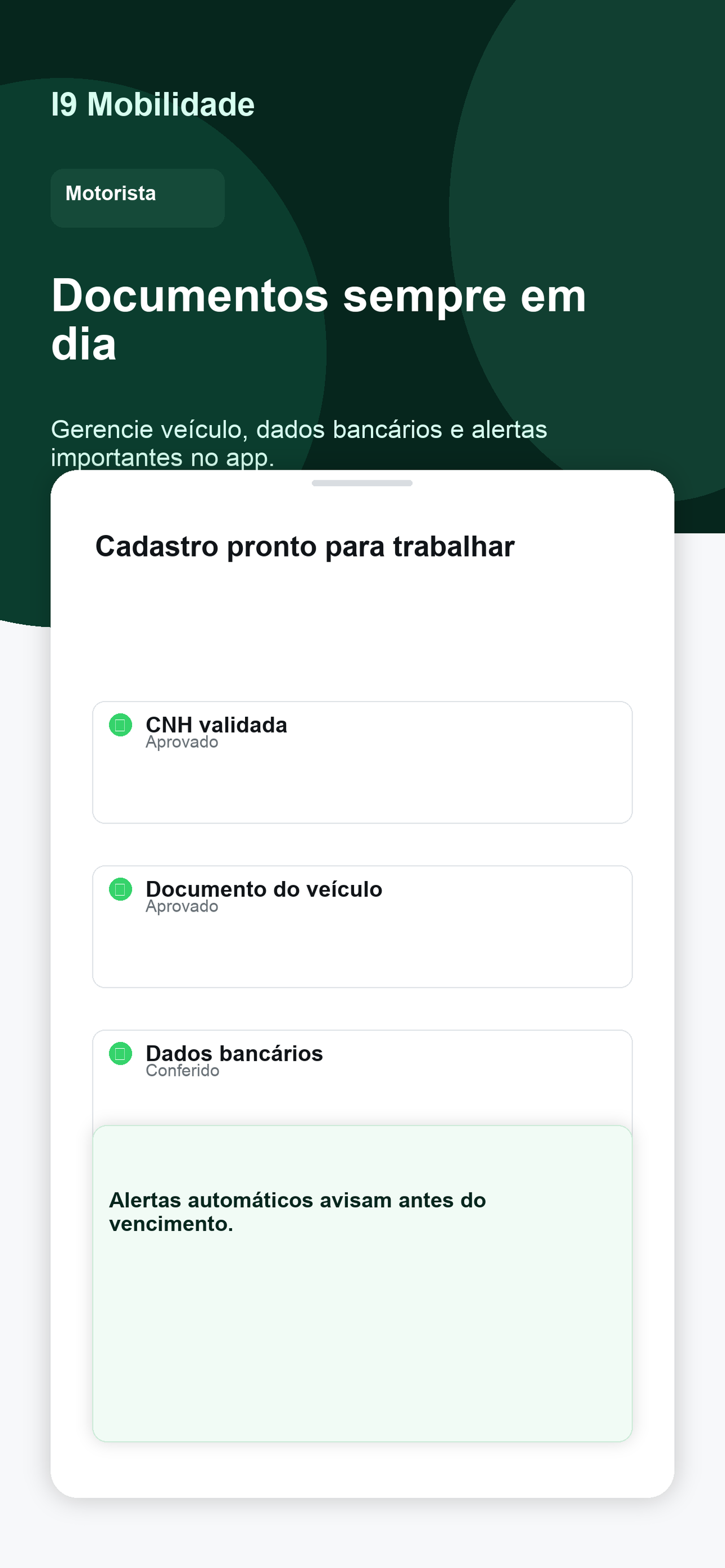 Vibbe Motorista screenshot 8
