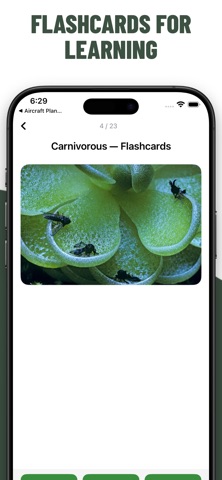 Plant Quiz Guess Trees screenshot