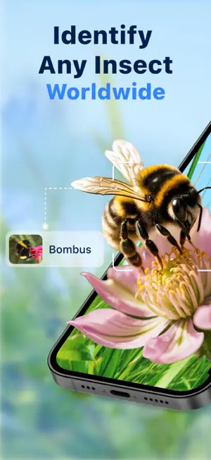 Bug Identifier: Butterfly ID screenshot 1
