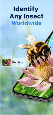 Bug Identifier: Butterfly ID iPhone screenshot
