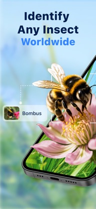 Bug Identifier: Butterfly ID screenshot 1