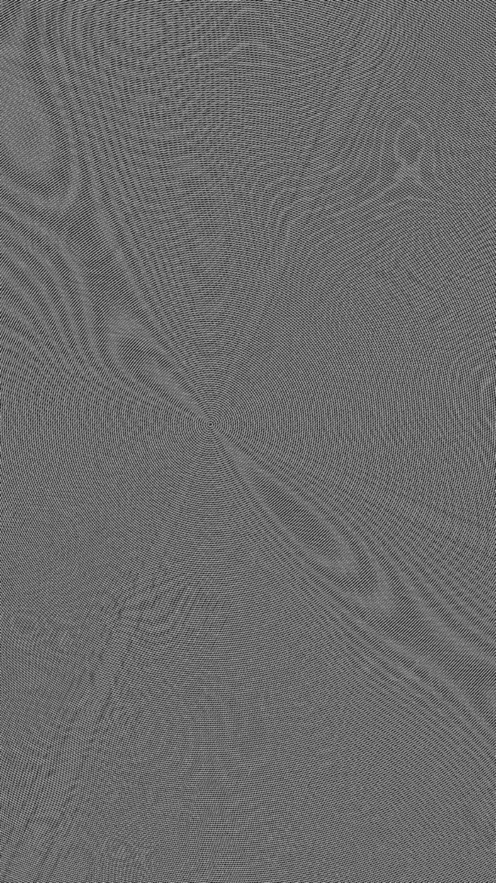 Moiré / Interference