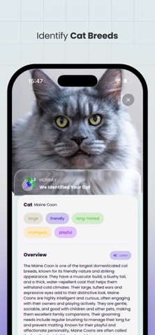 Petify: AI Pet Translator Screenshot 7 of 9