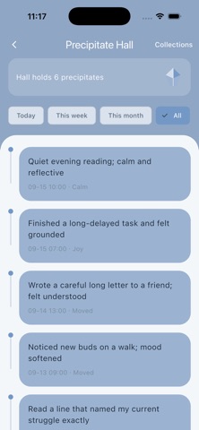 SettleSolute iPhone screenshot 3