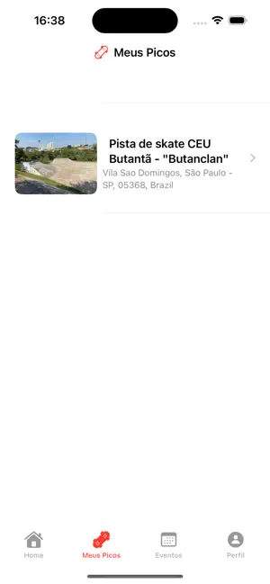 Picos de Skate screenshot 3
