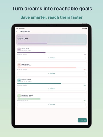 SmartFlousi: Budget Planner iPad screenshot