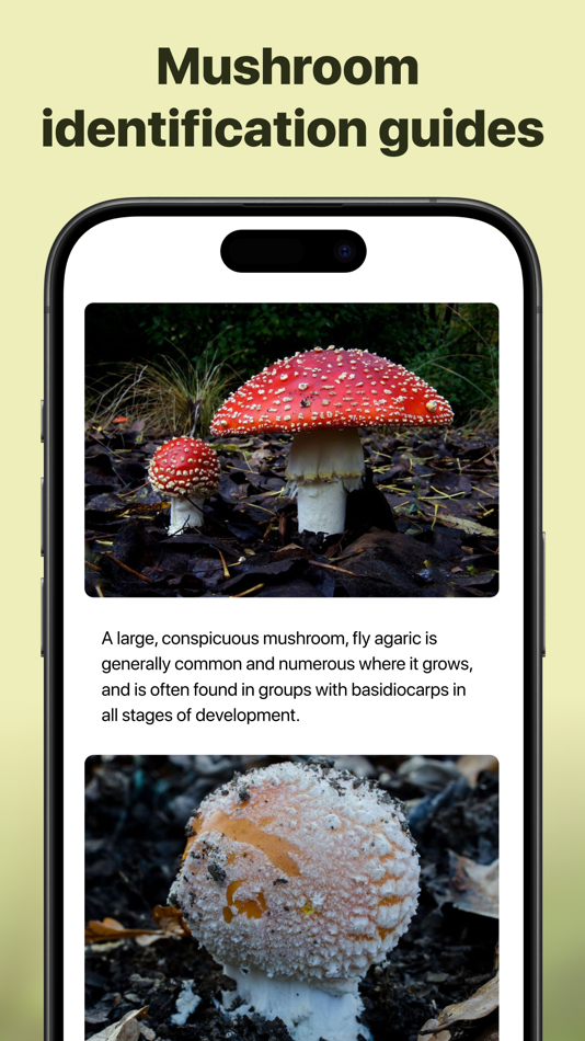 #4. Picture Mushroom: Identifier (iOS) By: Next Vision Limited