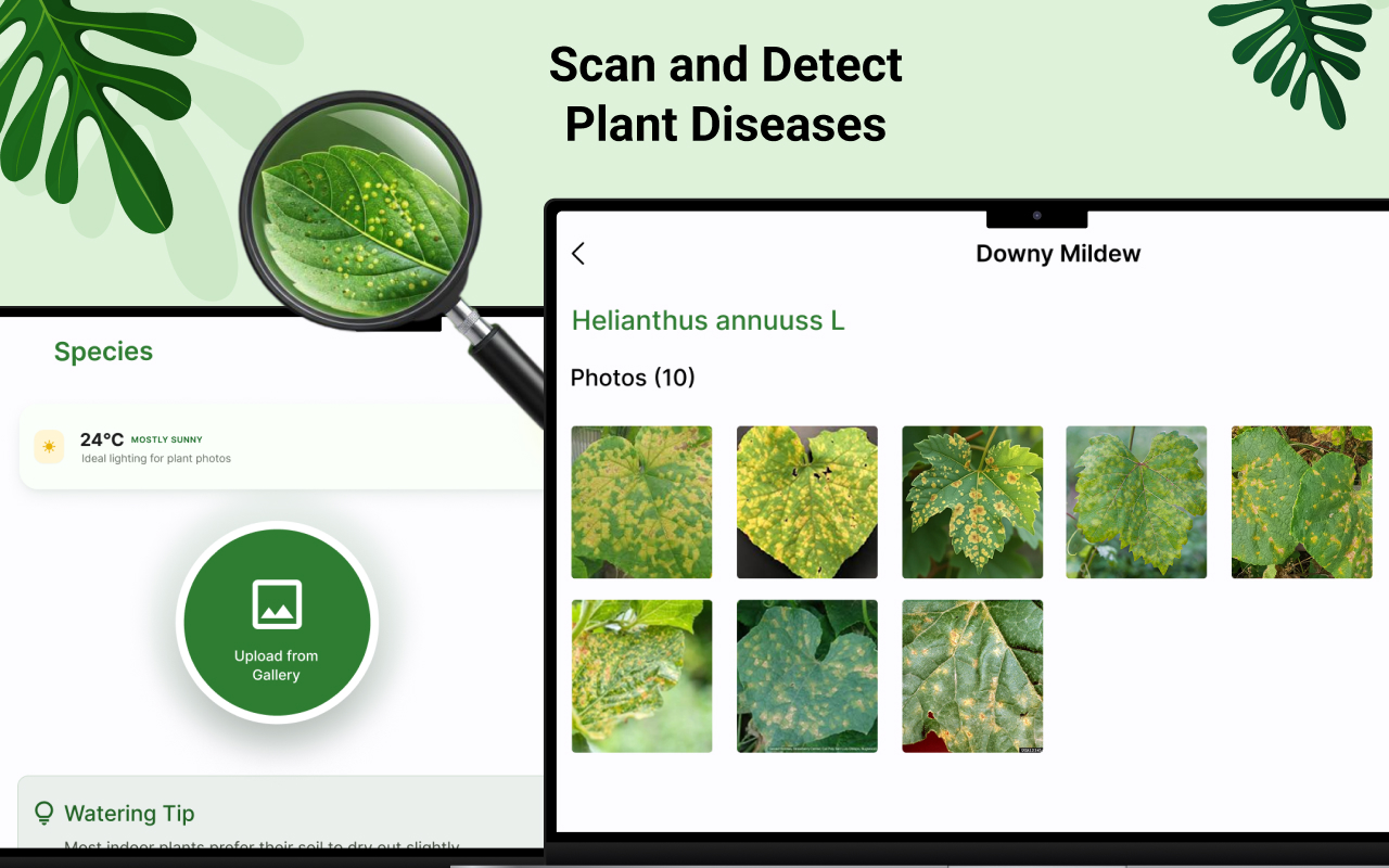 Plant ID: Identify Plants AI screenshot 10