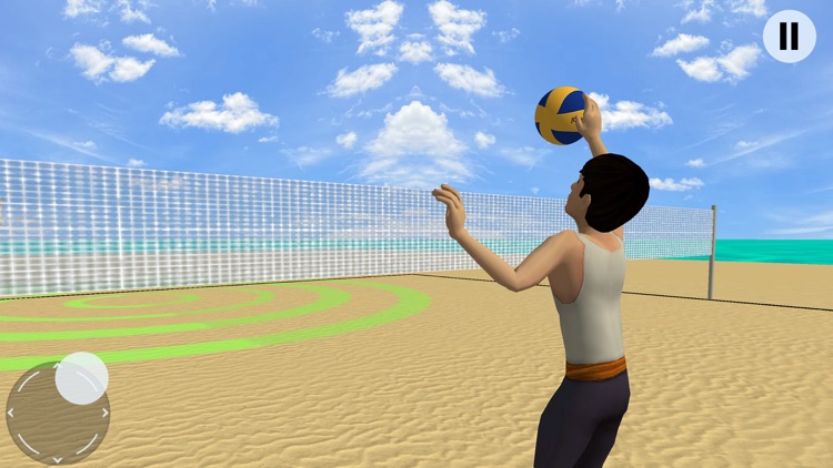 Volleyball Championship Court