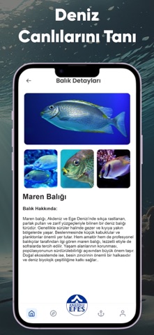 Mavi Atlas screenshot